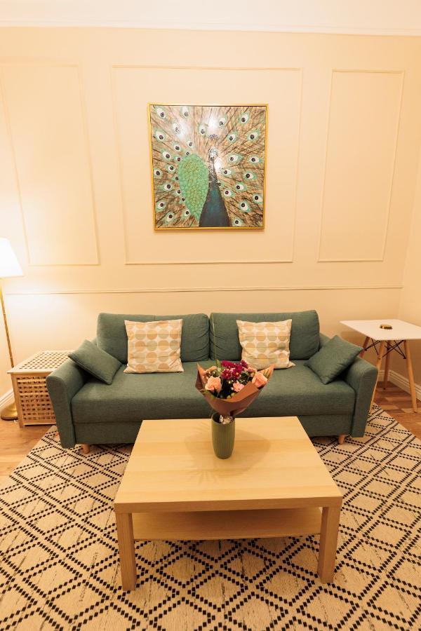 Cozy Apartment In The Historical City Center تيميشورا المظهر الخارجي الصورة